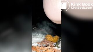 japanese amateur girl outdoor pooping