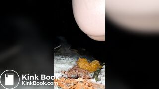 japanese amateur girl outdoor pooping