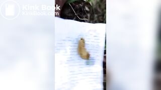 beautiful legal teen