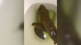 Girlfriends mega log