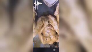 Toilet girl covered with shit