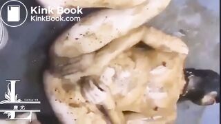 Toilet girl covered with shit