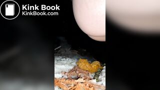 Japanese girl's steam poop