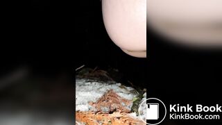 Japanese girl's steam poop