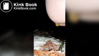 Japanese girl's steam poop