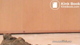 She takes a fat dump on a book