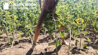 10/10 Dirty Sunflower Shit, Sit and Squish