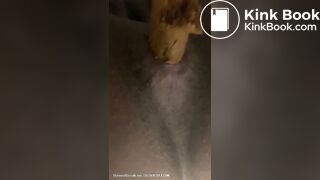 Mistress Toilet Treats