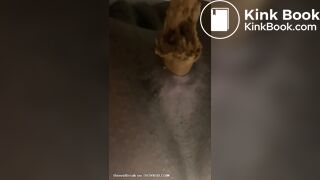 Mistress Toilet Treats