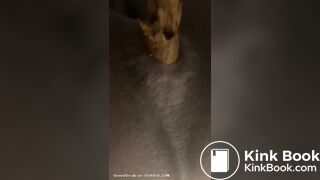 Mistress Toilet Treats