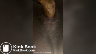 Mistress Toilet Treats