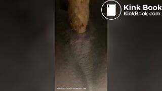 Mistress Toilet Treats