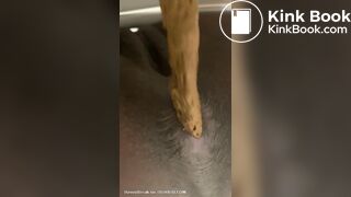 Mistress Toilet Treats