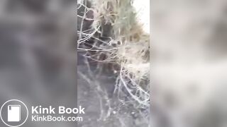 Pretty Girl Pooping Outdoors - 1