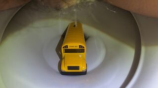 Bus in the toilet (2)