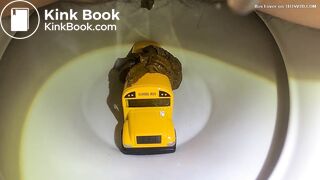 Bus in the toilet (2)