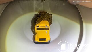 Bus in the toilet (2)