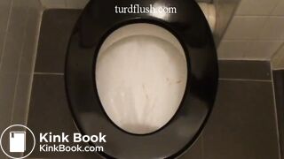 Turd Flush