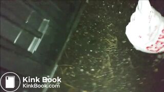 Christmas Sweet Outdoor Release