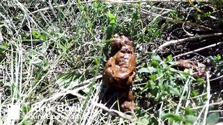 Scat613 - video 2