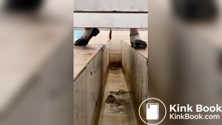 chinese girl pooping voyeur 29