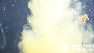 Japanese Pornstar Rei Mizuna Pooping みづなれいうんち