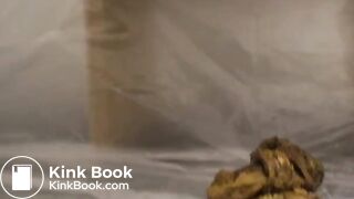 Fucking nasty scat girl 3