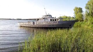 the ship's captain shits himself