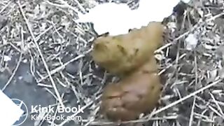 Short thick Poop