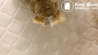 Bunny Plush gets piss