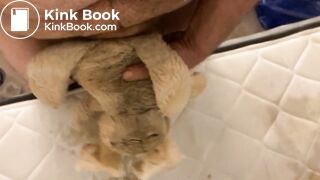 Bunny Plush gets piss