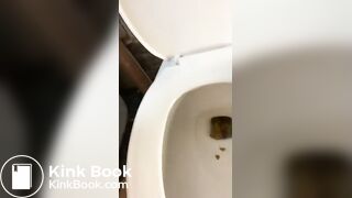 classyngassy toilet 7