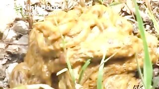 tennis girl outdoor poop