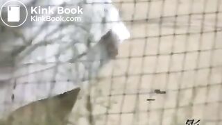 tennis girl outdoor poop