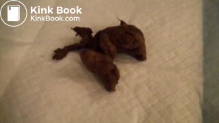 her dirty talk and dirty action