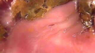 japanese scat - video 118
