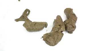 Shy girl with enlarged anus shitting and farting