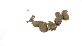 Shy girl with enlarged anus shitting and farting