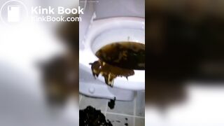 Ssbbw savage diarrhea