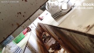 chinese voyeur poop 3