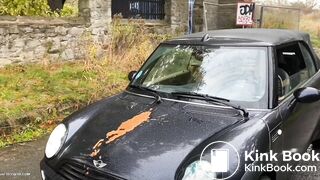 Aggressive poo on her car