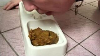 Shit to teach the best toilet slave