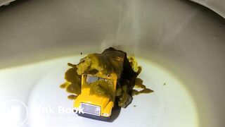 Diarrhea blowout on bus in toilet
