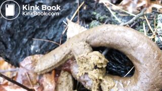 woman pooping in forest