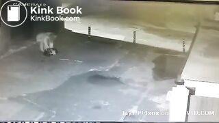 Girl caught shitting outside on CCTV