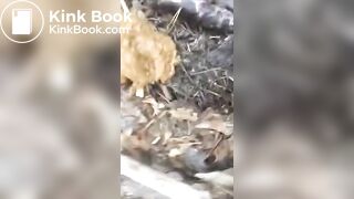 Pretty Girl Pooping Outdoors - 3