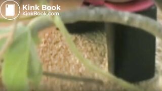 Interesting Nude Beach