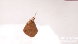 Diarrhea spilling mistress