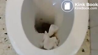 Standing toilet shit