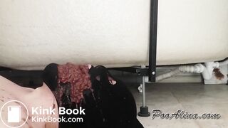 beautiful girl feed slave